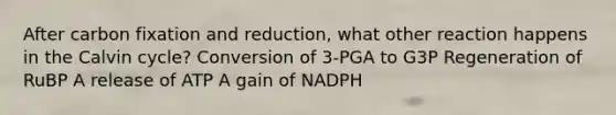 After carbon fixation and reduction, what other reaction happens in the Calvin cycle? Conversion of 3-PGA to G3P Regeneration of RuBP A release of ATP A gain of NADPH