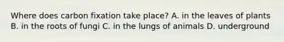 Where does carbon fixation take place? A. in the leaves of plants B. in the roots of fungi C. in the lungs of animals D. underground