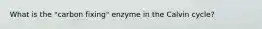 What is the "carbon fixing" enzyme in the Calvin cycle?