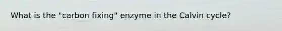 What is the "carbon fixing" enzyme in the Calvin cycle?