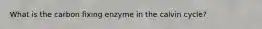 What is the carbon fixing enzyme in the calvin cycle?