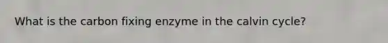 What is the carbon fixing enzyme in the calvin cycle?