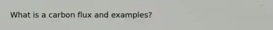 What is a carbon flux and examples?