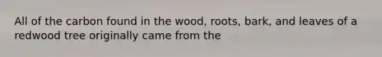 All of the carbon found in the wood, roots, bark, and leaves of a redwood tree originally came from the