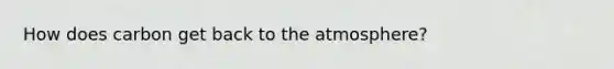 How does carbon get back to the atmosphere?
