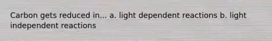 Carbon gets reduced in... a. light dependent reactions b. light independent reactions