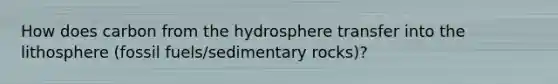 How does carbon from the hydrosphere transfer into the lithosphere (fossil fuels/sedimentary rocks)?