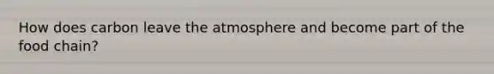 How does carbon leave the atmosphere and become part of the food chain?