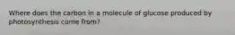Where does the carbon in a molecule of glucose produced by photosynthesis come from?