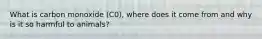What is carbon monoxide (C0), where does it come from and why is it so harmful to animals?