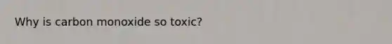 Why is carbon monoxide so toxic?