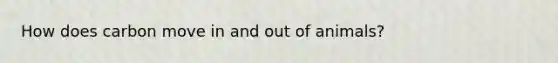 How does carbon move in and out of animals?