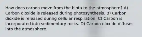 How does carbon move from the biota to the atmosphere? A) Carbon dioxide is released during photosynthesis. B) Carbon dioxide is released during cellular respiration. C) Carbon is incorporated into sedimentary rocks. D) Carbon dioxide diffuses into the atmosphere.