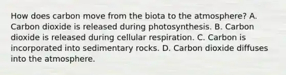 How does carbon move from the biota to the atmosphere? A. Carbon dioxide is released during photosynthesis. B. Carbon dioxide is released during <a href='https://www.questionai.com/knowledge/k1IqNYBAJw-cellular-respiration' class='anchor-knowledge'>cellular respiration</a>. C. Carbon is incorporated into sedimentary rocks. D. Carbon dioxide diffuses into the atmosphere.