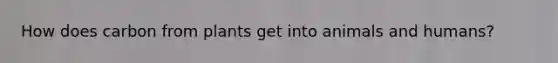 How does carbon from plants get into animals and humans?