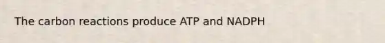 The carbon reactions produce ATP and NADPH