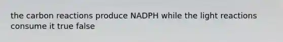 the carbon reactions produce NADPH while the light reactions consume it true false