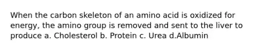 When the carbon skeleton of an amino acid is oxidized for energy, the amino group is removed and sent to the liver to produce a. Cholesterol b. Protein c. Urea d.Albumin