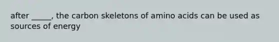 after _____, the carbon skeletons of amino acids can be used as sources of energy