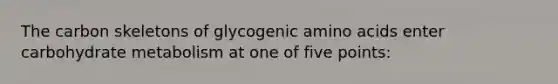 The carbon skeletons of glycogenic amino acids enter carbohydrate metabolism at one of five points: