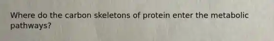 Where do the carbon skeletons of protein enter the metabolic pathways?