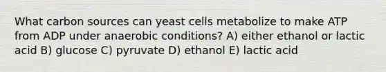 What carbon sources can yeast cells metabolize to make ATP from ADP under anaerobic conditions? A) either ethanol or lactic acid B) glucose C) pyruvate D) ethanol E) lactic acid