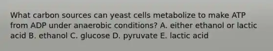 What carbon sources can yeast cells metabolize to make ATP from ADP under anaerobic conditions? A. either ethanol or lactic acid B. ethanol C. glucose D. pyruvate E. lactic acid