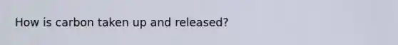 How is carbon taken up and released?