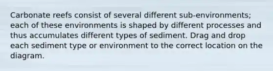 Carbonate reefs consist of several different sub-environments; each of these environments is shaped by different processes and thus accumulates different types of sediment. Drag and drop each sediment type or environment to the correct location on the diagram.