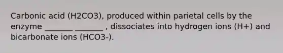 Carbonic acid (H2CO3), produced within parietal cells by the enzyme _______ _______ , dissociates into hydrogen ions (H+) and bicarbonate ions (HCO3-).