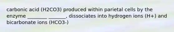 carbonic acid (H2CO3) produced within parietal cells by the enzyme ________ _______, dissociates into hydrogen ions (H+) and bicarbonate ions (HCO3-)