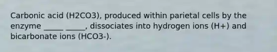 Carbonic acid (H2CO3), produced within parietal cells by the enzyme _____ _____, dissociates into hydrogen ions (H+) and bicarbonate ions (HCO3-).