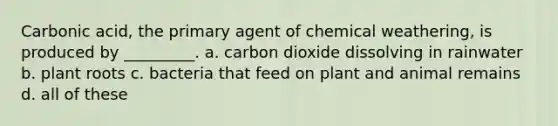 Carbonic acid, the primary agent of chemical weathering, is produced by _________. a. carbon dioxide dissolving in rainwater b. plant roots c. bacteria that feed on plant and animal remains d. all of these