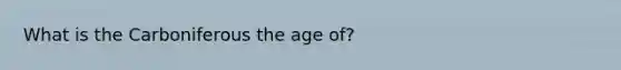 What is the Carboniferous the age of?