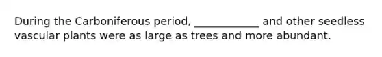 During the Carboniferous period, ____________ and other seedless vascular plants were as large as trees and more abundant.