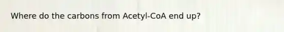 Where do the carbons from Acetyl-CoA end up?