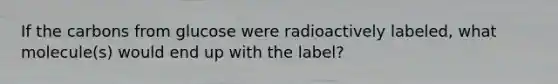 If the carbons from glucose were radioactively labeled, what molecule(s) would end up with the label?