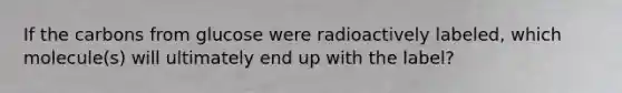If the carbons from glucose were radioactively labeled, which molecule(s) will ultimately end up with the label?