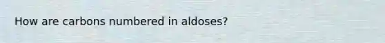 How are carbons numbered in aldoses?