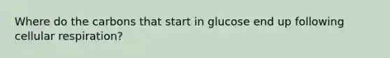 Where do the carbons that start in glucose end up following cellular respiration?