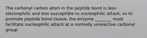 The carbonyl carbon atom in the peptide bond is less electrophilic and less susceptible to nucleophilic attack, so to promote peptide bond cleave, the enzyme ________ must facilitate nucleophilic attack at a normally unreactive carbonyl group