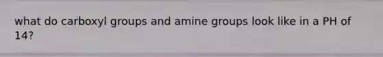 what do carboxyl groups and amine groups look like in a PH of 14?