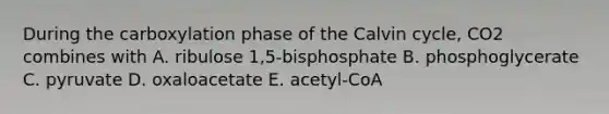 During the carboxylation phase of the Calvin cycle, CO2 combines with A. ribulose 1,5-bisphosphate B. phosphoglycerate C. pyruvate D. oxaloacetate E. acetyl-CoA