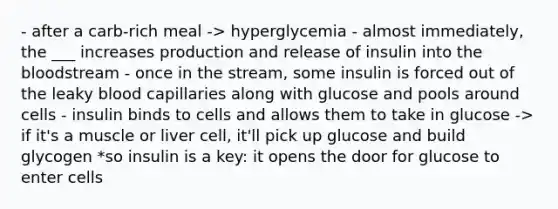 - after a carb-rich meal -> hyperglycemia - almost immediately, the ___ increases production and release of insulin into the bloodstream - once in the stream, some insulin is forced out of the leaky blood capillaries along with glucose and pools around cells - insulin binds to cells and allows them to take in glucose -> if it's a muscle or liver cell, it'll pick up glucose and build glycogen *so insulin is a key: it opens the door for glucose to enter cells