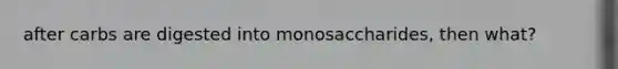 after carbs are digested into monosaccharides, then what?