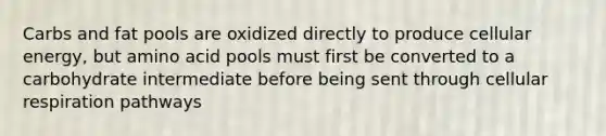 Carbs and fat pools are oxidized directly to produce cellular energy, but amino acid pools must first be converted to a carbohydrate intermediate before being sent through cellular respiration pathways