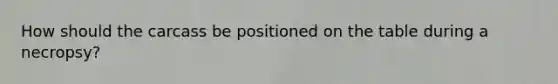 How should the carcass be positioned on the table during a necropsy?