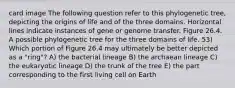 card image The following question refer to this phylogenetic tree, depicting the origins of life and of the three domains. Horizontal lines indicate instances of gene or genome transfer. Figure 26.4. A possible phylogenetic tree for the three domains of life. 53) Which portion of Figure 26.4 may ultimately be better depicted as a "ring"? A) the bacterial lineage B) the archaean lineage C) the eukaryotic lineage D) the trunk of the tree E) the part corresponding to the first living cell on Earth