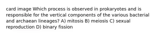 card image Which process is observed in prokaryotes and is responsible for the vertical components of the various bacterial and archaean lineages? A) mitosis B) meiosis C) sexual reproduction D) binary fission