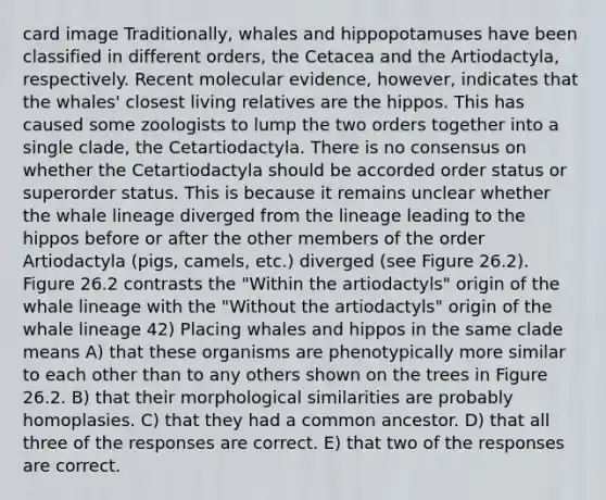 card image Traditionally, whales and hippopotamuses have been classified in different orders, the Cetacea and the Artiodactyla, respectively. Recent molecular evidence, however, indicates that the whales' closest living relatives are the hippos. This has caused some zoologists to lump the two orders together into a single clade, the Cetartiodactyla. There is no consensus on whether the Cetartiodactyla should be accorded order status or superorder status. This is because it remains unclear whether the whale lineage diverged from the lineage leading to the hippos before or after the other members of the order Artiodactyla (pigs, camels, etc.) diverged (see Figure 26.2). Figure 26.2 contrasts the "Within the artiodactyls" origin of the whale lineage with the "Without the artiodactyls" origin of the whale lineage 42) Placing whales and hippos in the same clade means A) that these organisms are phenotypically more similar to each other than to any others shown on the trees in Figure 26.2. B) that their morphological similarities are probably homoplasies. C) that they had a common ancestor. D) that all three of the responses are correct. E) that two of the responses are correct.